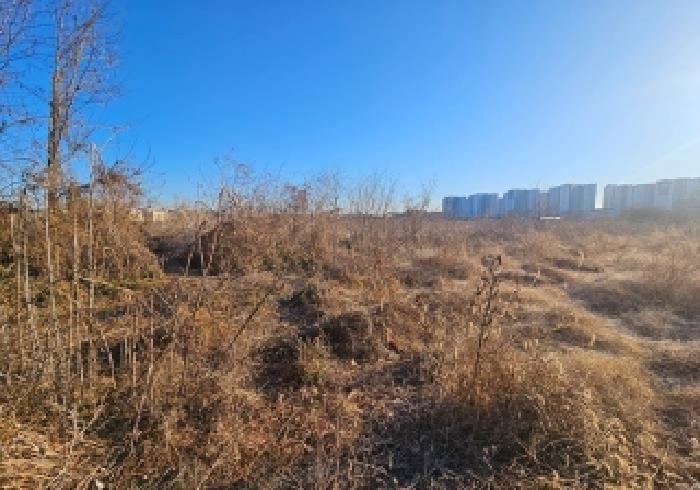 경기 평택시 팽성읍 답 경매 물건 사진