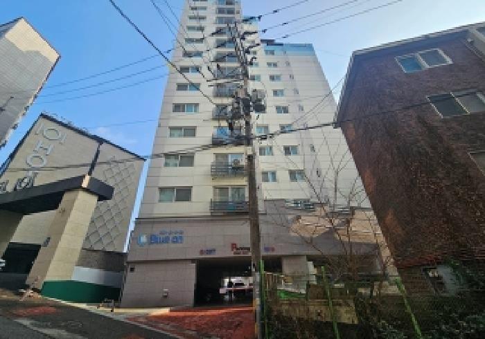 경기 평택시 지산동 상가,오피스텔,근린시설 경매 물건 사진 2 · 2025타경43124