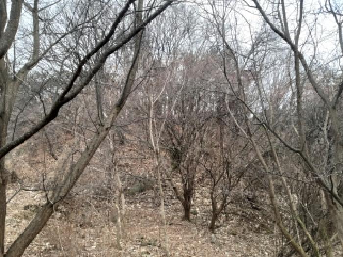 경기 안성시 죽산면 임야 경매 물건 사진 2 · 2025타경43175