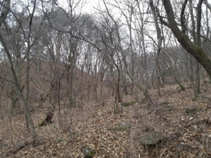 경기 안성시 죽산면 임야 경매 물건 사진 3 · 2025타경43175