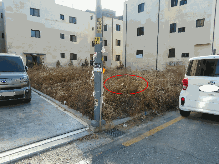 경기 평택시 고덕동 대지 경매 물건 사진 6 · 2025타경43225