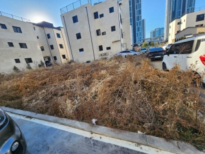 경기 평택시 고덕동 대지 경매 물건 사진