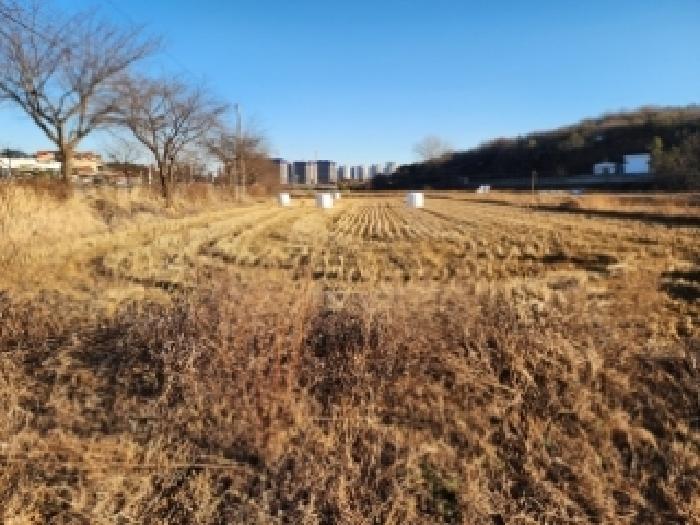 경기 평택시 고덕면 전답 경매 물건 사진 2 · 2025타경43279