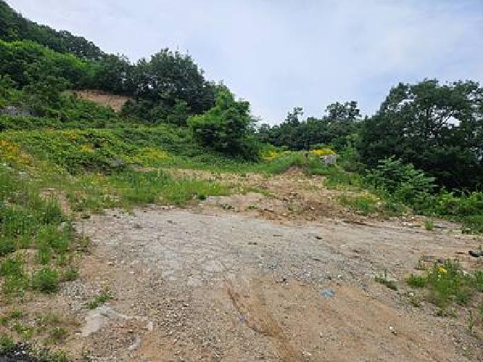 경기 안성시 삼죽면 목장용지 경매 물건 사진 4 · 2025타경43325