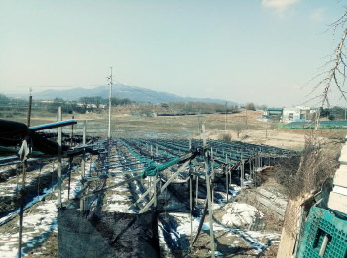 경기 안성시 일죽면 답 경매 물건 사진