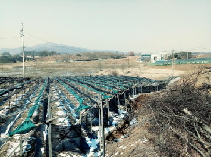 경기 안성시 일죽면 답 경매 물건 사진 2 · 2025타경533