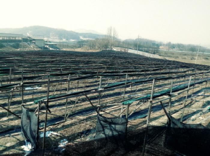 경기 안성시 일죽면 답 경매 물건 사진 3 · 2025타경533
