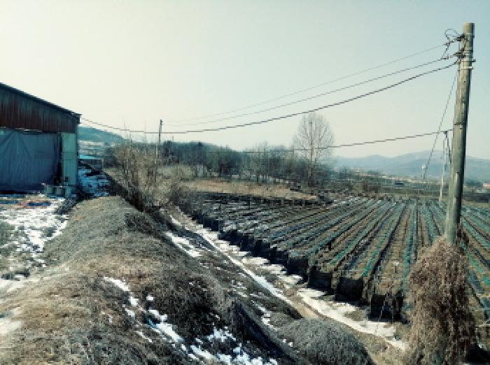 경기 안성시 일죽면 답 경매 물건 사진 5 · 2025타경533