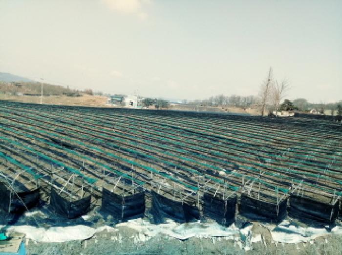 경기 안성시 일죽면 답 경매 물건 사진 6 · 2025타경533
