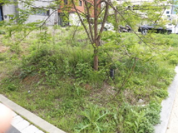 경기 평택시 고덕동 대지 경매 물건 사진