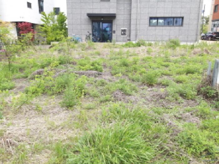 경기 평택시 고덕동 대지 경매 물건 사진 2 · 2025타경625
