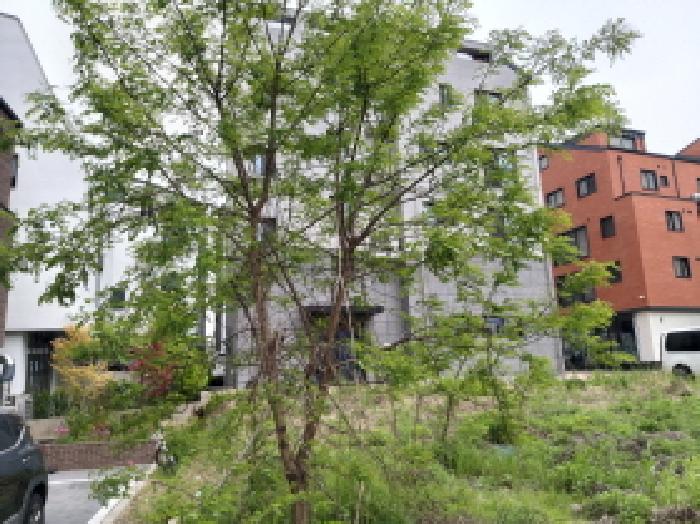 경기 평택시 고덕동 대지 경매 물건 사진 4 · 2025타경625