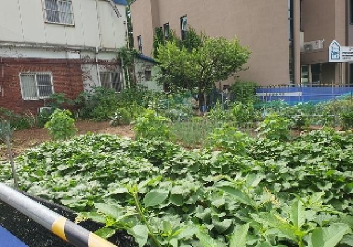 경기 평택시 신장동 대지 경매 물건 사진 2 · 2025타경729