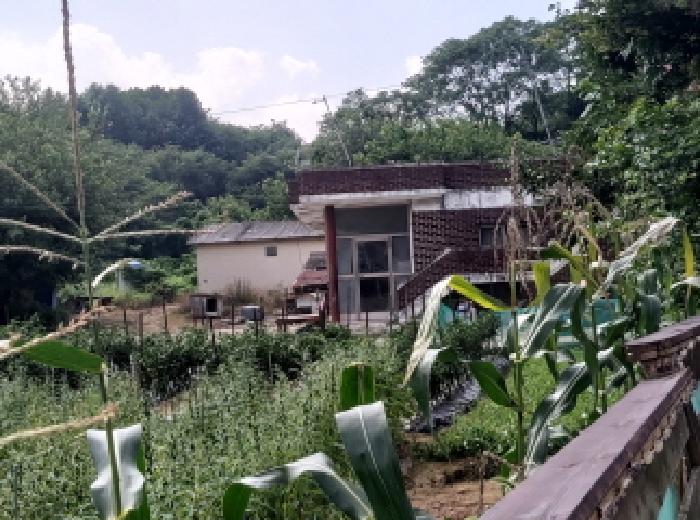 경기 안성시 사곡동 전답 경매 물건 사진 5 · 2025타경744