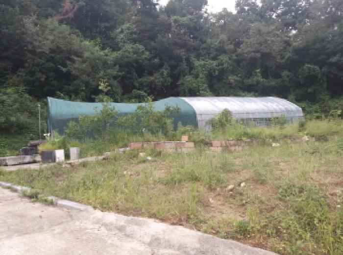 경기 안성시 일죽면 단독주택 경매 물건 사진