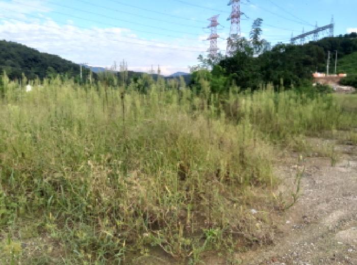경기 안성시 고삼면 전답 경매 물건 사진