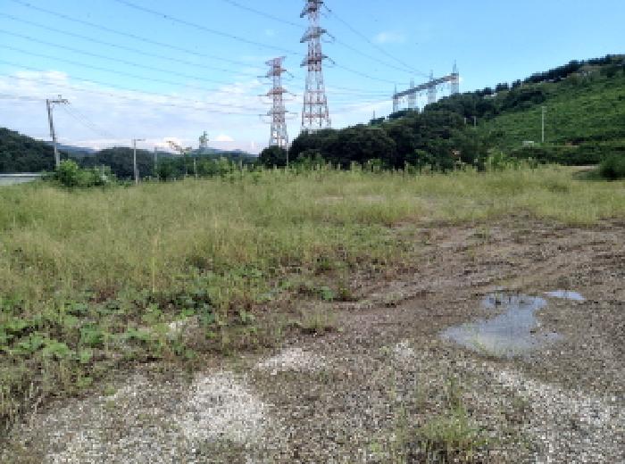 경기 안성시 고삼면 전답 경매 물건 사진 2 · 2025타경803