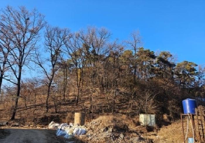 경기 평택시 지산동 임야 경매 물건 사진 2 · 2025타경936