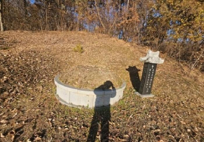 경기 평택시 지산동 임야 경매 물건 사진 4 · 2025타경936