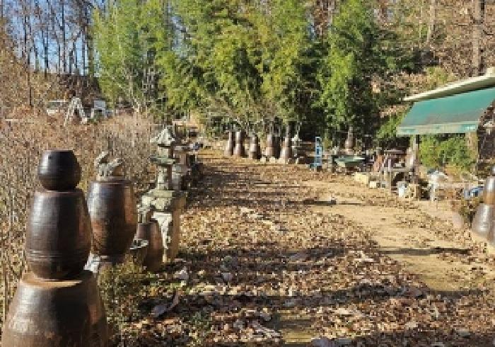 경기 평택시 지산동 임야 경매 물건 사진 5 · 2025타경936