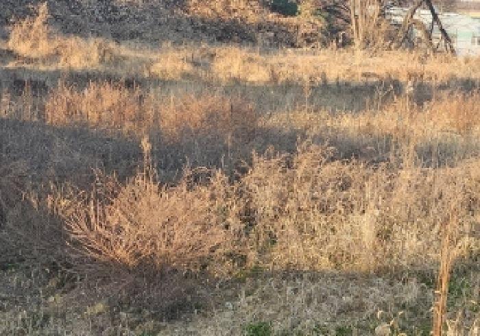 경기 평택시 오성면 전답 경매 물건 사진