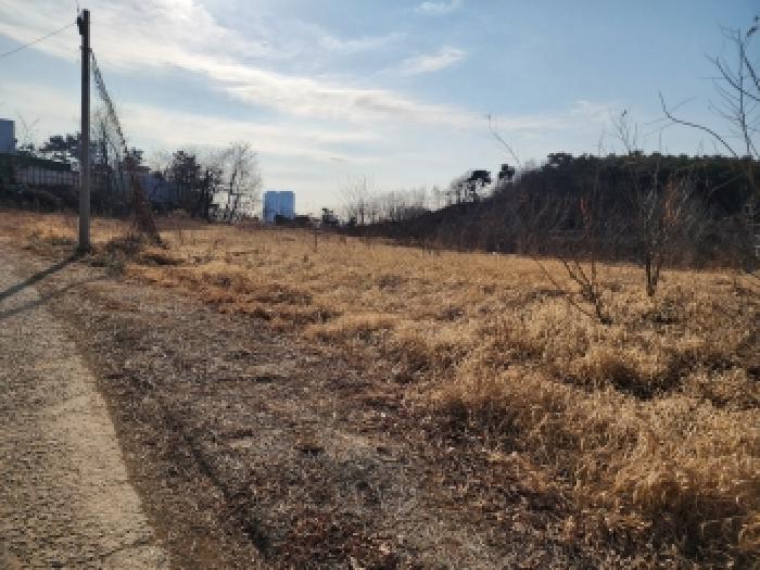 경기 평택시 포승읍 대지,임야,전답 경매 물건 사진 2 · 2025타경997