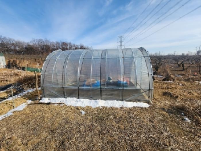 경기 평택시 안중읍 답 경매 물건 사진 5 · 2026타경10