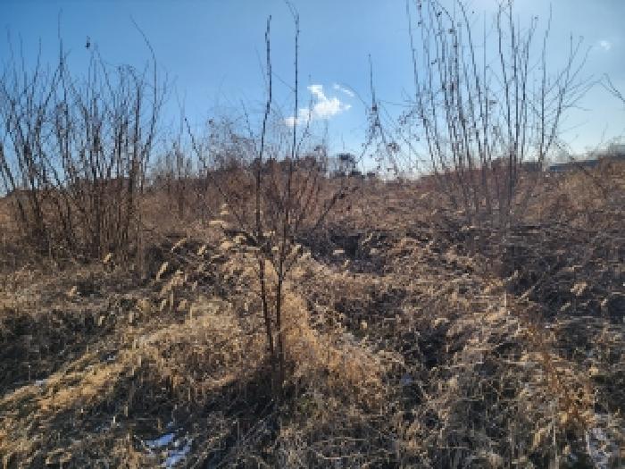경기 평택시 고덕면 도로 경매 물건 사진 2 · 2026타경50019