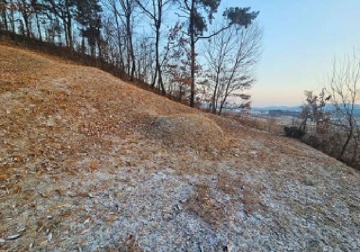 경기 안성시 서운면 임야 경매 물건 사진 3 · 2026타경50025