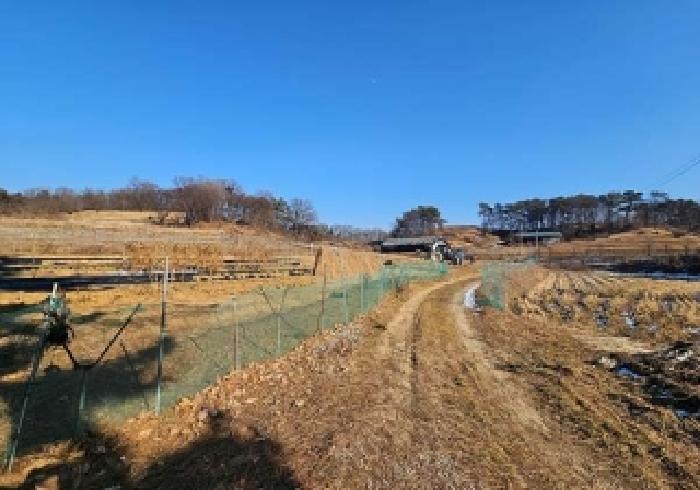 경기 안성시 보개면 임야 경매 물건 사진 6 · 2026타경50037