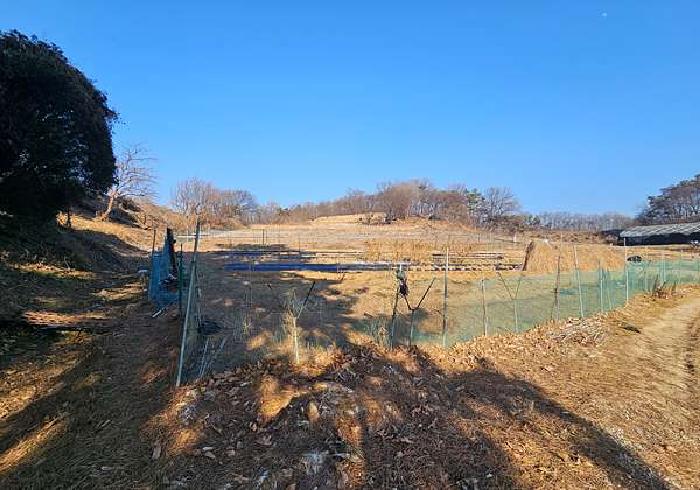 경기 안성시 보개면 임야 경매 물건 사진 5 · 2026타경50037