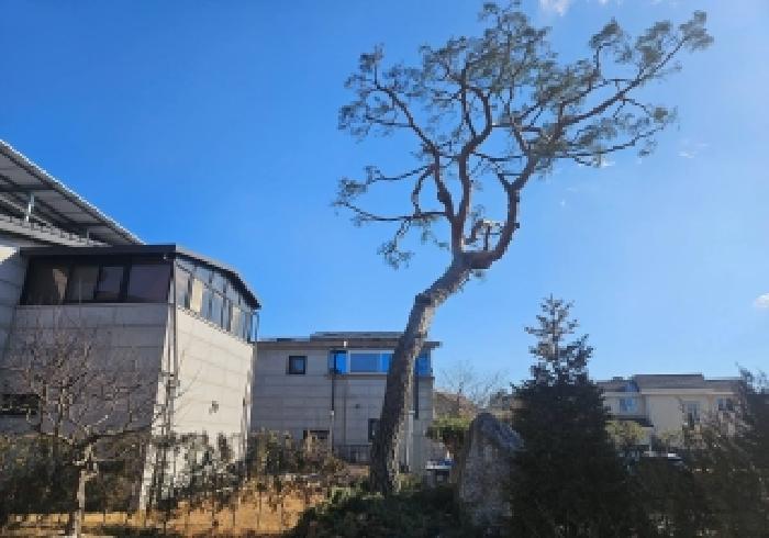 경기 안성시 삼죽면 단독주택다가구 경매 물건 사진 3 · 2026타경50043