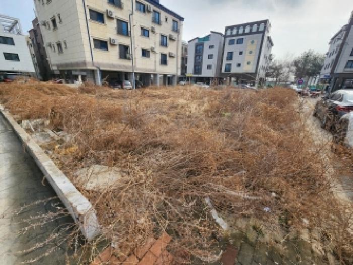 경기 평택시 안중읍 대지 경매 물건 사진