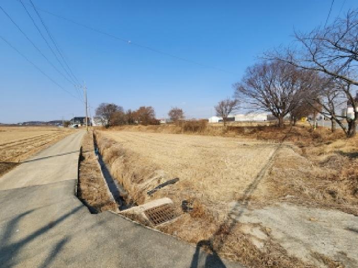 경기 평택시 현덕면 대지,임야,전답 경매 물건 사진 2 · 2026타경50184
