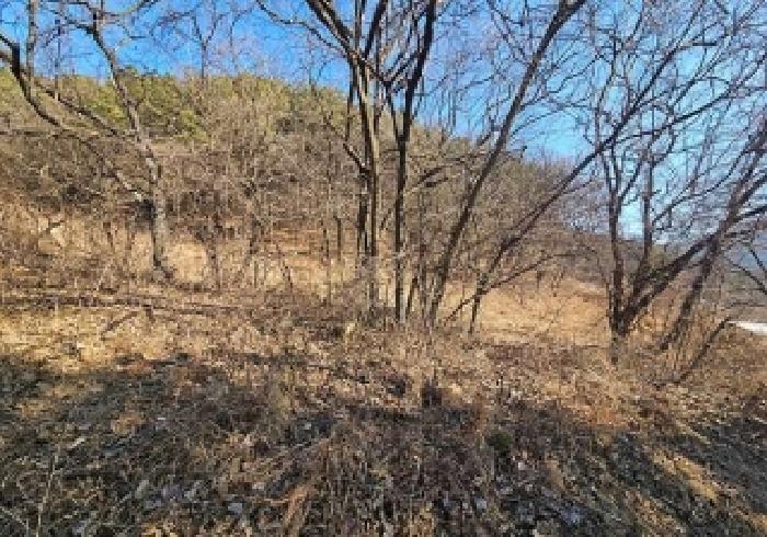 경기 안성시 보개면 임야 경매 물건 사진 3 · 2026타경50202