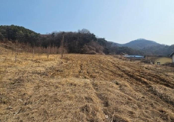 경기 안성시 보개면 임야 경매 물건 사진