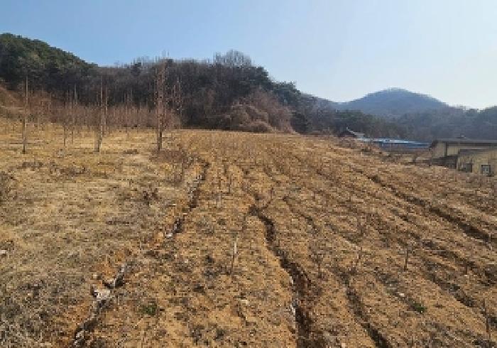 경기 안성시 보개면 임야 경매 물건 사진 2 · 2026타경50310