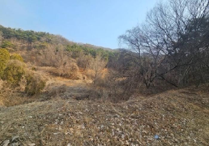 경기 안성시 보개면 임야 경매 물건 사진 3 · 2026타경50310