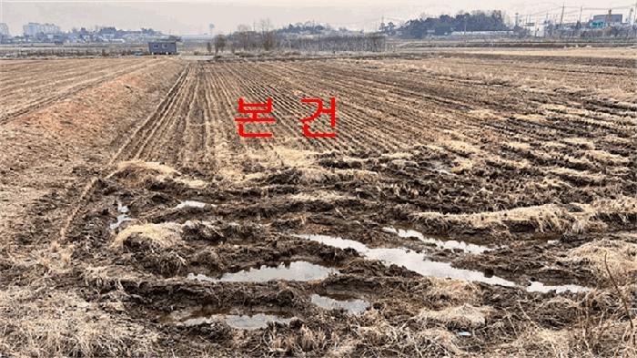 경기 평택시 팽성읍 전답 경매 물건 사진 4 · 2026타경50329