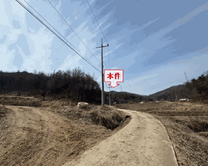 경기 안성시 고삼면 임야 경매 물건 사진 5 · 2026타경50425
