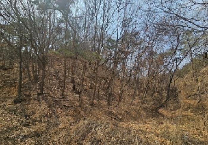 경기 안성시 고삼면 임야 경매 물건 사진 3 · 2026타경50425