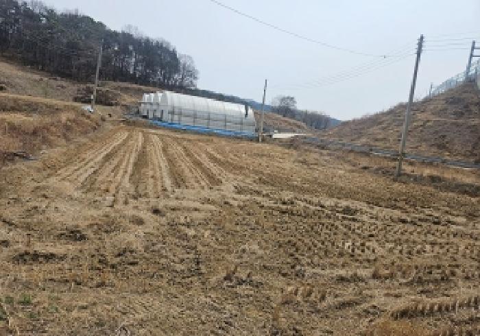 경기 안성시 보개면 전답 경매 물건 사진 6 · 2026타경50476