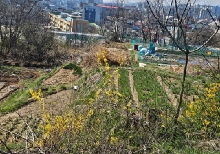 경기 안성시 봉산동 임야 경매 물건 사진 3 · 2026타경50546