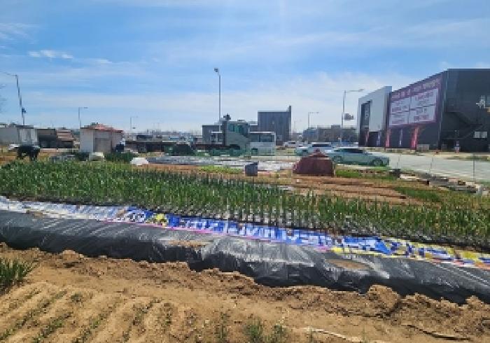 경기 평택시 죽백동 대지 경매 물건 사진 3 · 2026타경50596