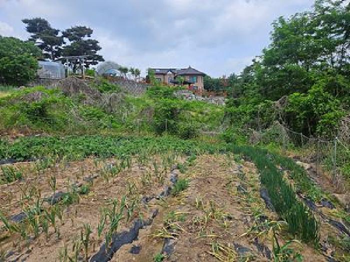 경기 안성시 삼죽면 대지,임야,전답 경매 물건 사진