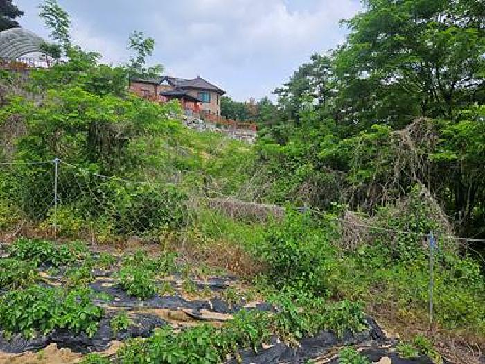 경기 안성시 삼죽면 대지,임야,전답 경매 물건 사진 2 · 2026타경50852