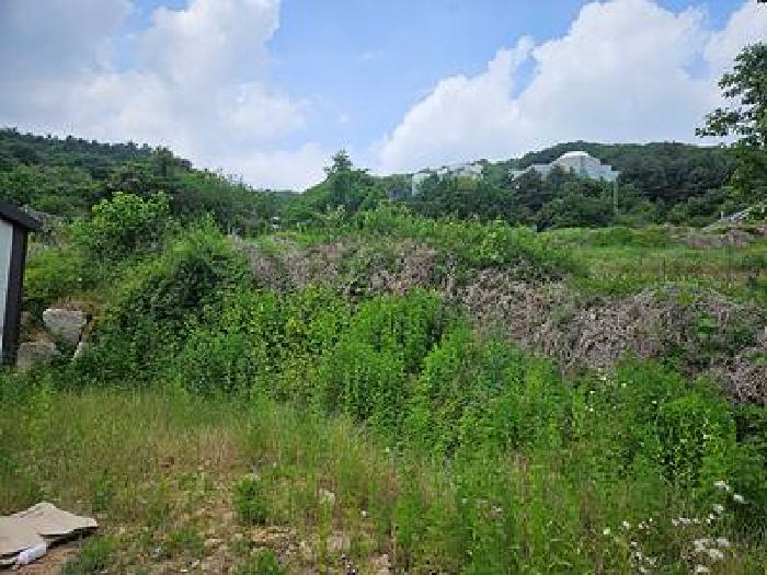 경기 안성시 삼죽면 대지,임야,전답 경매 물건 사진 4 · 2026타경50852