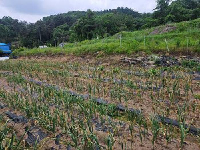 경기 안성시 삼죽면 대지,임야,전답 경매 물건 사진 6 · 2026타경50852