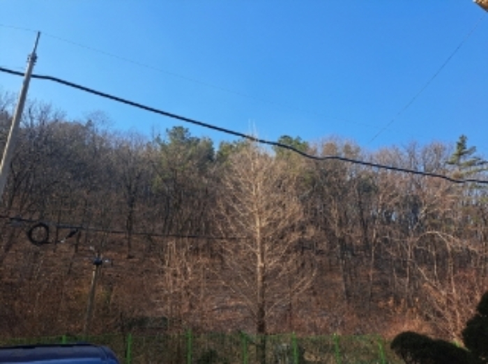 경기 안양시 만안구 안양동 임야 경매 물건 사진 3 · 2024타경100269