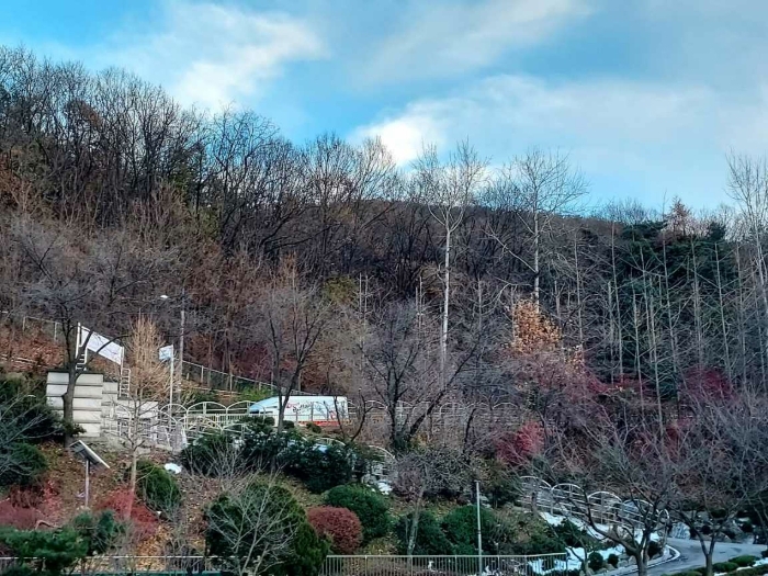 경기도 안양시 만안구 안양동 산93-2 임야 경매 물건 사진